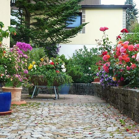 Ferienhaus Riedl Klingenthal Bagian luar foto