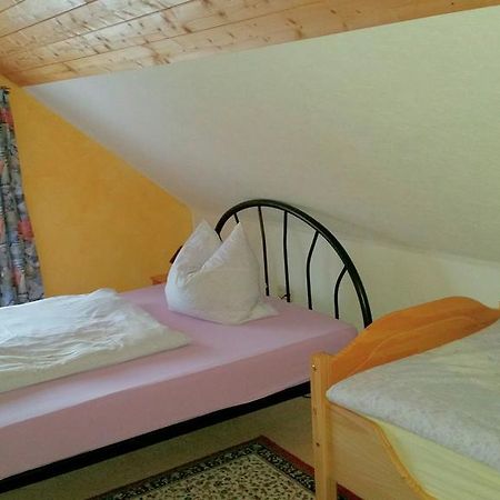 Ferienhaus Riedl Klingenthal Bagian luar foto