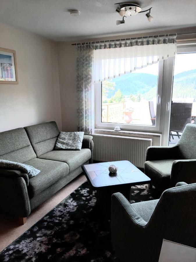 Ferienhaus Riedl Klingenthal Bagian luar foto