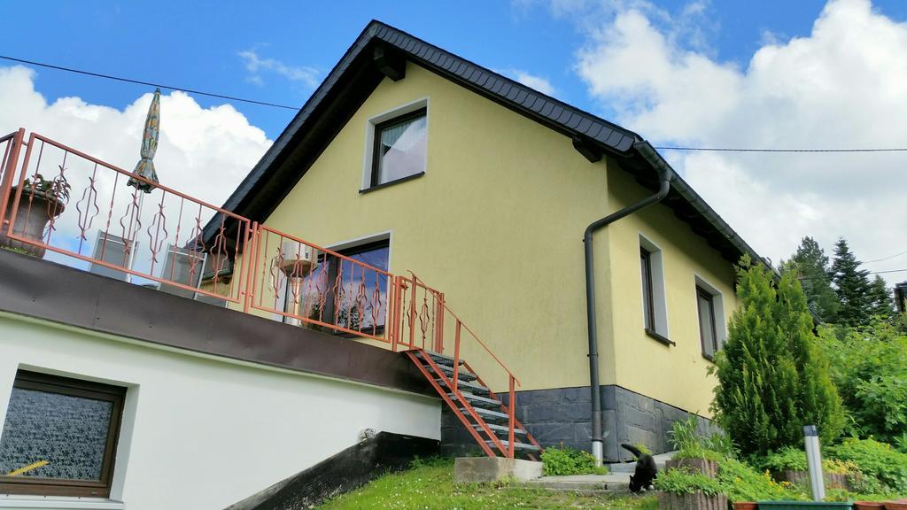 Ferienhaus Riedl Klingenthal Bagian luar foto